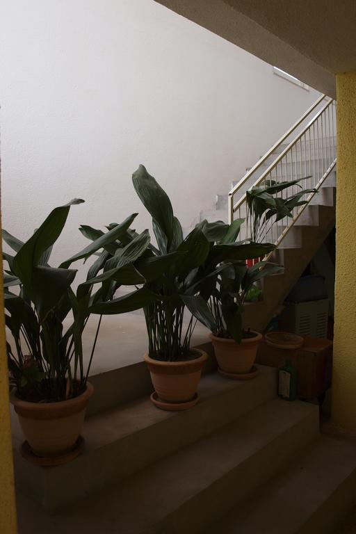 Apartments Viktorija Starigrad Paklenica Ngoại thất bức ảnh